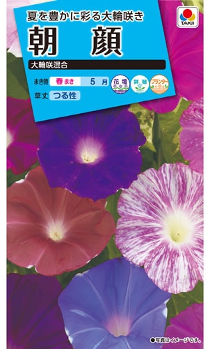 タキイ NL150 朝顔 大輪咲混合 小袋[FAA110]【取り寄せ注文】※春のみ商品【2026年春種予約商品】