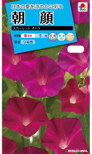 タキイ NL150 朝顔 スカーレットオハラ 小袋[FAA311]【取り寄せ注文】※春のみ商品【2026年春種予約商品】