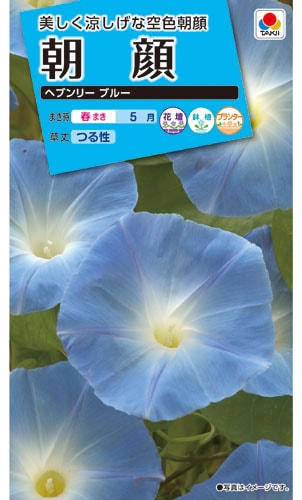 タキイ NL150 朝顔 ヘブンリーブルー小袋[FAA321]【取り寄せ注文】※春のみ商品【2026年春種予約商品】