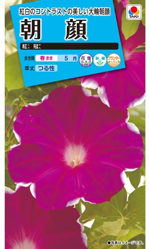 タキイ NL150 朝顔 紅冠 小袋[FAA540]【取り寄せ注文】※春のみ商品【2026年春種予約商品】