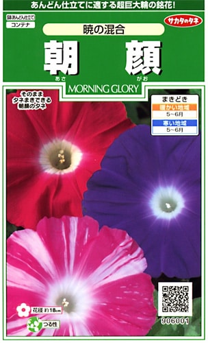 サカタのタネ 実咲250 朝顔 暁の混合 小袋[906001]【取り寄せ注文】※春のみ商品【2026年春種予約商品】 