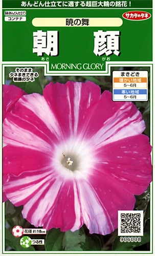 サカタのタネ 実咲250 朝顔 暁の舞 小袋[906008]【取り寄せ注文】※春のみ商品【2026年春種予約商品】 
