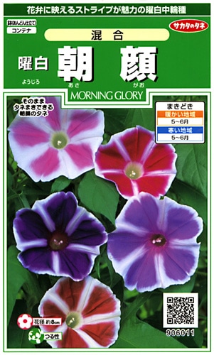 サカタのタネ 実咲250 曜白朝顔 混合 小袋[906011]【取り寄せ注文】※春のみ商品【2026年春種予約商品】