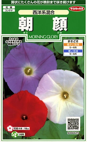 サカタのタネ 実咲250 朝顔 西洋系混合 小袋[906025]【取り寄せ注文】※春のみ商品【2026年春種予約商品】 