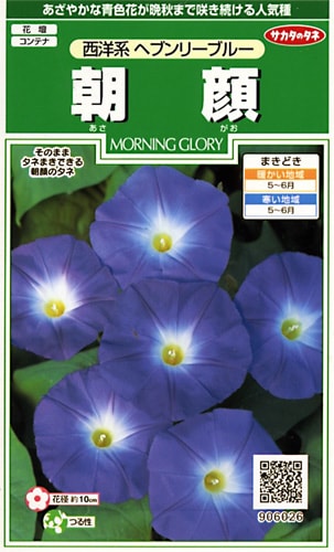 サカタのタネ 実咲250 朝顔 西洋系 ヘブンリーブルー 小袋[906026]【取り寄せ注文】※春のみ商品【2026年春種予約商品】 