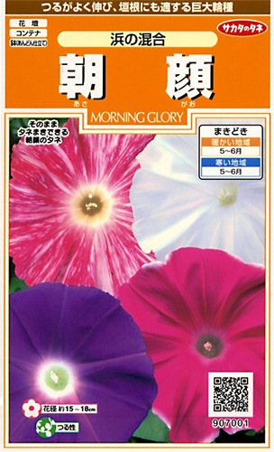 サカタのタネ 実咲200 朝顔 浜の混合 小袋[907001]【取り寄せ注文】※春のみ商品【2026年春種予約商品】 