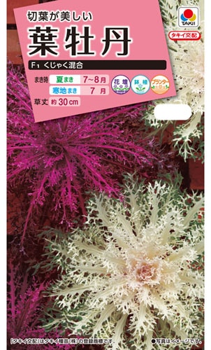 タキイ NL300　葉牡丹　F1くじゃく混合　小袋[FHB629]【取り寄せ注文】※秋のみ商品