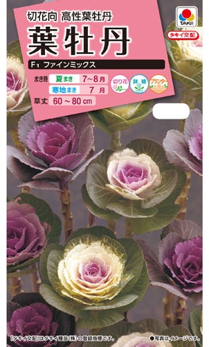 タキイ NL300　葉牡丹　F1ファインミックス　小袋[FHB650]【取り寄せ注文】※秋のみ商品