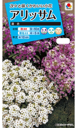タキイ NL150　アリッサム　混合　小袋[FAR129]【取り寄せ注文】※秋のみ商品