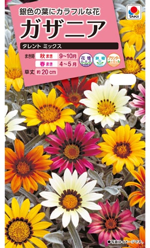 タキイ NL300 ガザニア タレントミックス 小袋[FGZ120]【取り寄せ注文】※通年商品