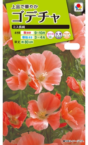 タキイ NL200　ゴデチャ　ミス長崎　小袋[FGD121]【取り寄せ注文】【2026年秋種予約商品】※秋のみ商品