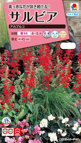 タキイ NL300 サルビア アカプルコ 小袋 [FSR301]【取り寄せ注文】※春のみの商品【2026年春種予約商品】