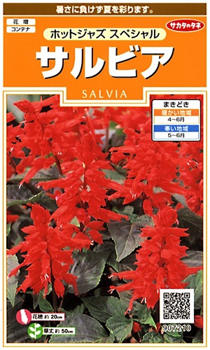 サカタのタネ 実咲200 サルビア ホットジャズ スペシャル 小袋[907210]【取り寄せ注文】※春のみ商品【2026年春種予約商品】 