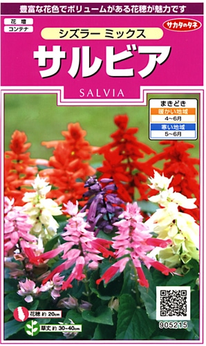 サカタのタネ 実咲350 サルビア シズラー ミックス 小袋[905215]【取り寄せ注文】※春のみ商品【2026年春種予約商品】 