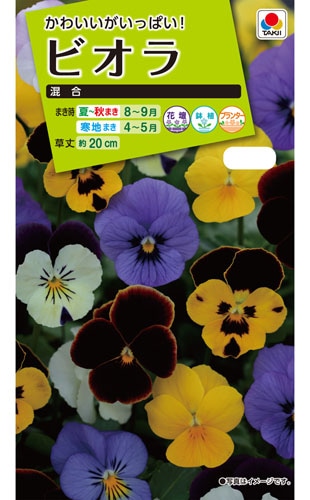 タキイ NL200　ビオラ　混合　小袋[FBR050]【取り寄せ注文】※秋のみ商品