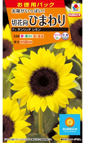 タキイ NL徳用 切花向 ひまわり F1 サンリッチレモン 小袋[FHM601]【取り寄せ注文】※春のみの商品【2026年春種予約商品】