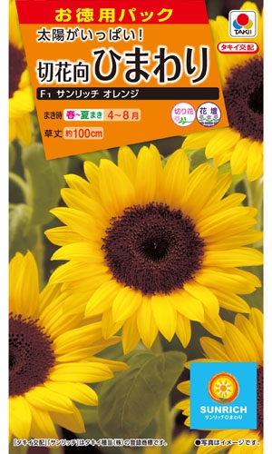 タキイ NL徳用 切花向 ひまわり F1 サンリッチオレンジ  [FHM602]【取り寄せ注文】※春のみの商品【2026年春種予約商品】