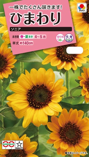 タキイ NL300 ひまわり ソニア 小袋[FHM121]【取り寄せ注文】※春のみ商品【2026年春種予約商品】
