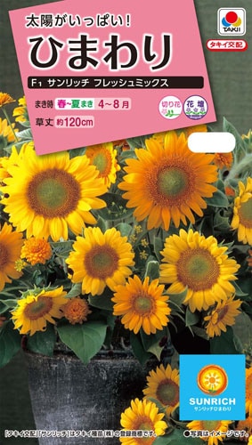タキイ NL300 ひまわり F1 サンリッチフレッシュミックス 小袋 [FHM603]【取り寄せ注文】※春のみの商品【2026年春種予約商品】