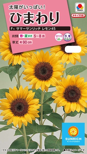 タキイ NL300 ひまわり F1 サマーサンリッチレモン45 小袋[FHM517]【取り寄せ注文】※春のみの商品【2026年春種予約商品】