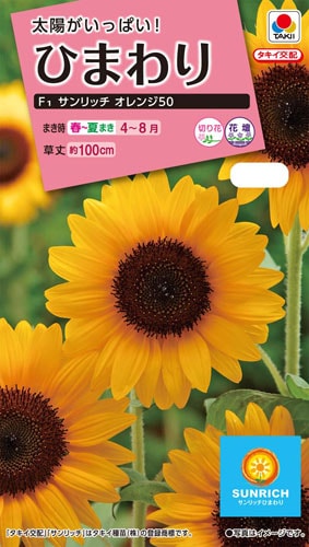 タキイ NL300 ひまわり F1 サンリッチオレンジ50 小袋[FHM520]【取り寄せ注文】※春のみ商品【2026年春種予約商品】