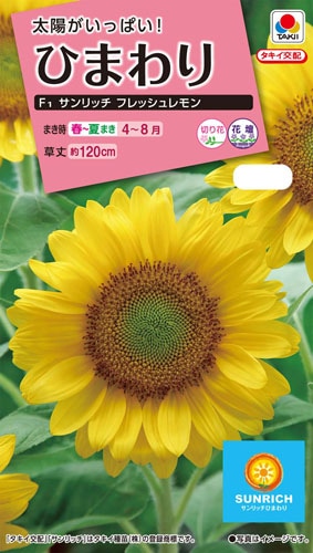 タキイ NL300 ひまわり F1 サンリッチフレッシュレモン 小袋[FHM521]【取り寄せ注文】※春のみ商品【2026年春種予約商品】 