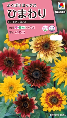 タキイ NL300 ひまわり F1モネパレット 小袋[FHM524]【取り寄せ注文】※春のみ商品【2026年春種予約商品】