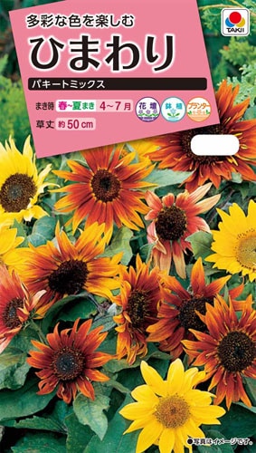 タキイ NL300 ひまわり パキートミックス 小袋[FHM540]【取り寄せ注文】※春のみ商品【2026年春種予約商品】