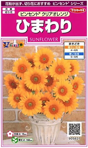 サカタのタネ 実咲350 ひまわり ビンセント クリアオレンジ 小袋[905627]【取り寄せ注文】※春のみ商品【2026年春種予約商品】