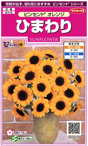 サカタのタネ 実咲350 ひまわり ビンセント オレンジ 小袋[905628]【取り寄せ注文】※春のみ商品【2026年春種予約商品】
