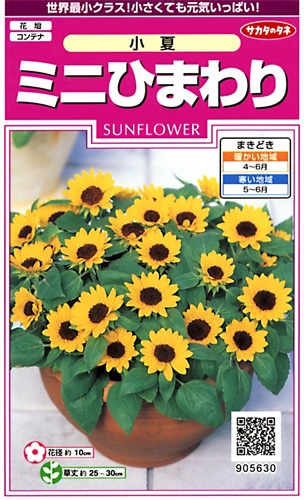 サカタのタネ 実咲350 ミニひまわり 小夏 小袋[905630]【取り寄せ注文】※春のみ商品【2026年春種予約商品】 