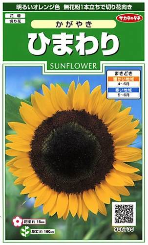 サカタのタネ 実咲250 ひまわり かがやき 小袋[906735]【取り寄せ注文】※春のみ商品【2026年春種予約商品】 