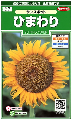 サカタのタネ 実咲250 ひまわり サンスポット 小袋[906737]【取り寄せ注文】※春のみ商品【2026年春種予約商品】 