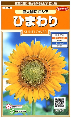 サカタのタネ 実咲200 ひまわり 巨大輪咲 ロシア 小袋[907541]【取り寄せ注文】※春のみ商品【2026年春種予約商品】 