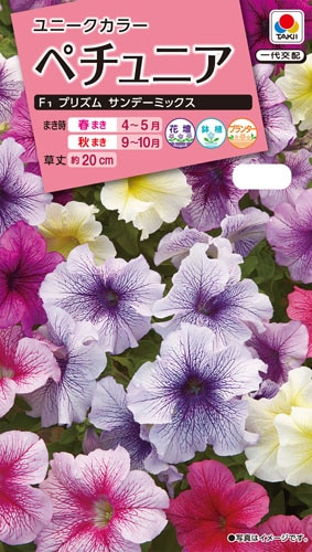 タキイ NL300 ペチュニア F1プリズムサンデーミックス 小袋[FPT409]【取り寄せ注文】※春のみ商品【2026年春種予約商品】