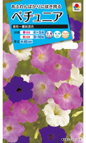 タキイ NL150 ペチュニア 高性一重咲混合 小袋[FPT110]【取り寄せ注文】※春のみ商品【2026年春種予約商品】