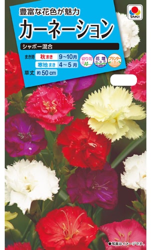 タキイ NL150 カーネーション シャボー混合 小袋[FCN129]【取り寄せ注文】＊種子有効期限2025年10月末