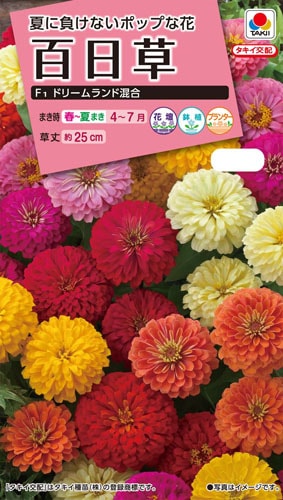 草花種子 小袋 7月まきの花の種 小林種苗株式会社 草花種子 小袋 7月まきの花の種 小林種苗株式会社