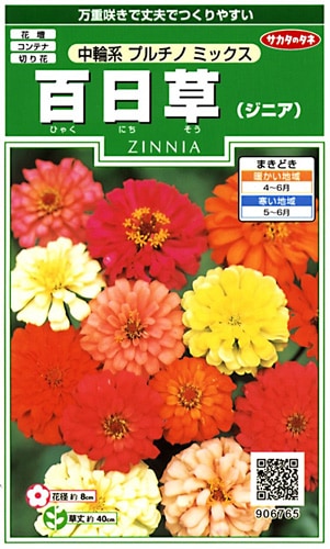 サカタのタネ 実咲250 百日草（ジニア）中輪系 プルチノ ミックス 小袋[906765]【取り寄せ注文】※春のみ商品【2026年春種予約商品】 