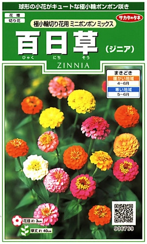 サカタのタネ 実咲250　百日草（ジニア）極小輪切り花用 ミニポンポンミックス 小袋[906769]【取り寄せ注文】※春のみ商品【2026年春種予約商品】 