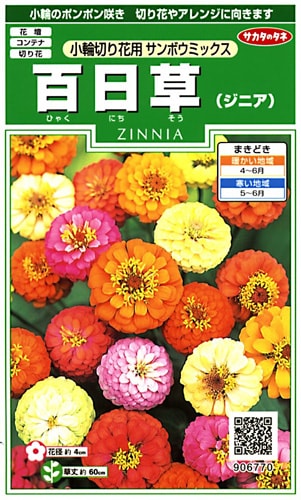 サカタのタネ　実咲250　百日草（ジニア）小輪切り花用 サンボウミックス 小袋[906770]【取り寄せ注文】※春のみ商品【2026年春種予約商品】 