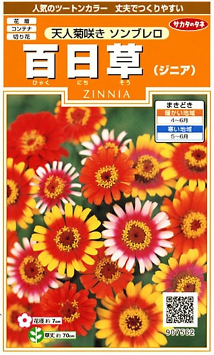 サカタのタネ 実咲200 百日草（ジニア） 天人菊咲き ソンブレロ　小袋[907562]【取り寄せ注文】※春のみ商品【2026年春種予約商品】 