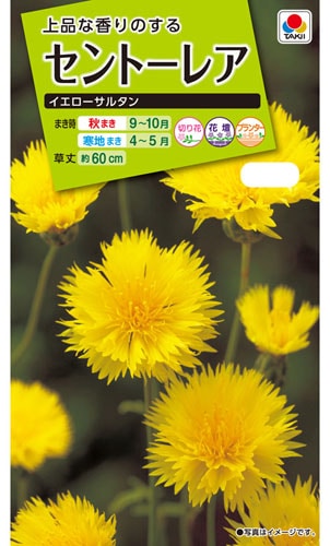 タキイ NL200　セントーレア　イエローサルタン　小袋[FSS121]【取り寄せ注文】※秋のみ商品