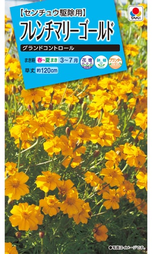 タキイ NL150 フレンチマリーゴールド グランドコントロール 小袋[FKJA01]【取り寄せ注文】※春のみ商品【2026年春種予約商品】 