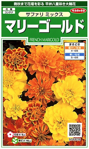 サカタのタネ 実咲250 マリーゴールド サファリ ミックス 小袋[906836]【取り寄せ注文】※春のみ商品【2026年春種予約商品】 