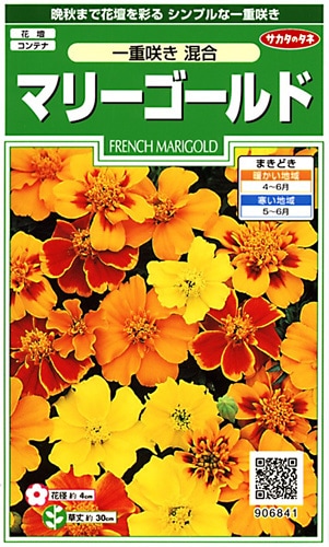 サカタのタネ 実咲250 マリーゴールド 一重咲き混合 小袋[906841]【取り寄せ注文】※春のみ商品【2026年春種予約商品】 