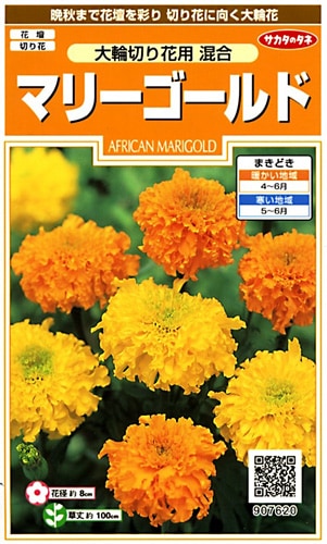 サカタのタネ 実咲200 マリーゴールド 大輪切り花用 混合 小袋[907620]【取り寄せ注文】※春のみ商品【2026年春種予約商品】 