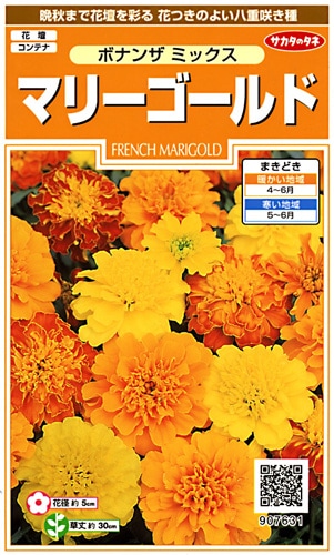草花種子（小袋）,マリーゴールド | 小林種苗株式会社