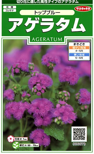 サカタのタネ 実咲250 アゲラタム トップブルー 小袋[906070]【取り寄せ注文】※春のみ商品【2026年春種予約商品】