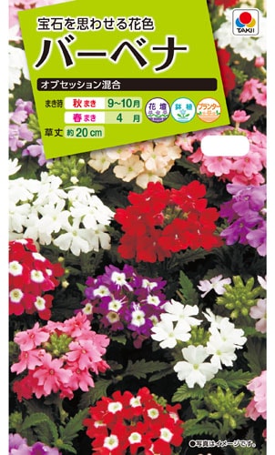 タキイ NL200 バーベナ オブセッション混合 小袋[FBB320]【取り寄せ注文】※春のみ商品【2026年春種予約商品】